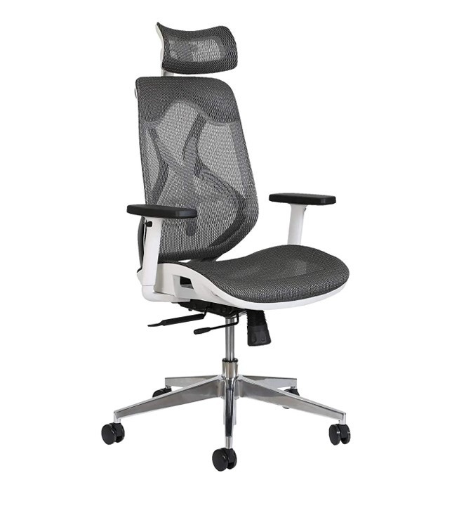 Ergonomic Office Chair I MISURAA Xenon High Back I India 2022
