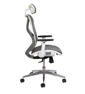Ergonomic Office Chair (Main Image)