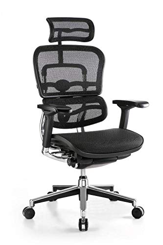 Ergohuman Chair India with best ergonomics